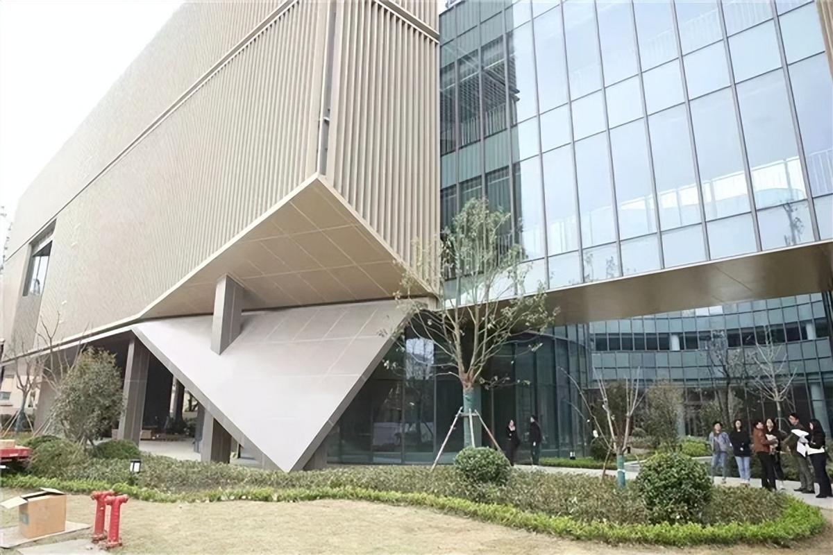 江川县图书馆最新项目，，，推动文化昌盛与社区生长的融合共进